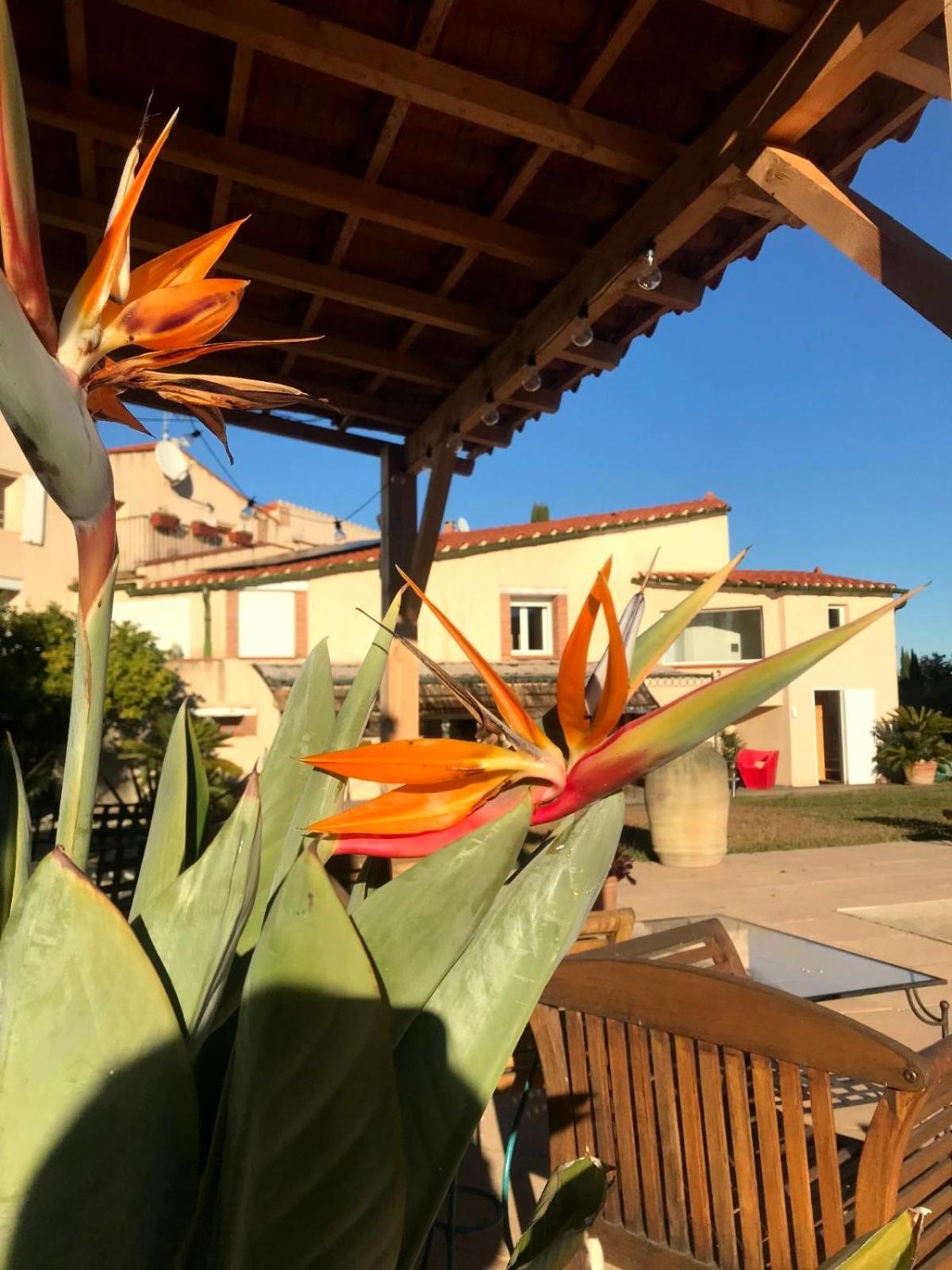 Couette-café Mas Tramontane D'hôtes Força Réal Classée 4 Clés