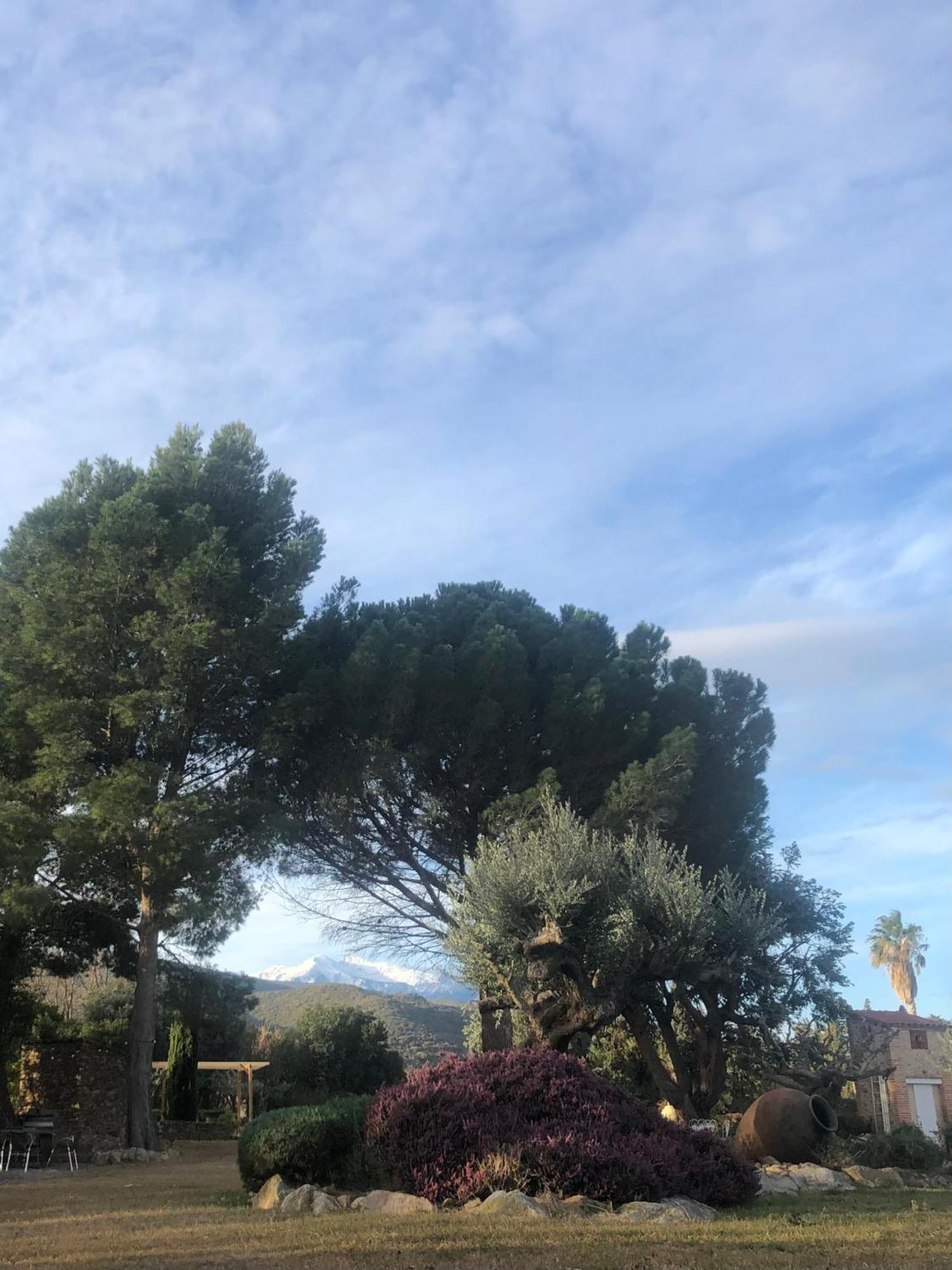 Mas Tramontane D'hôtes Força Réal Classée 4 Clés Ille-sur-Têt